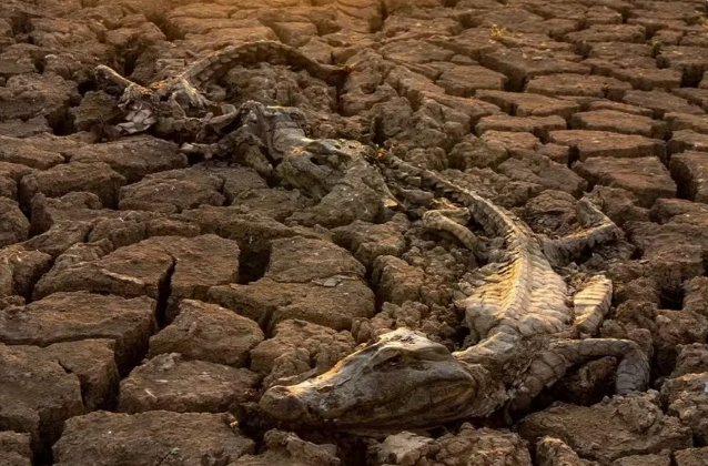 País tem quase 2 mil cidades em situação de seca e especialistas alertam para risco