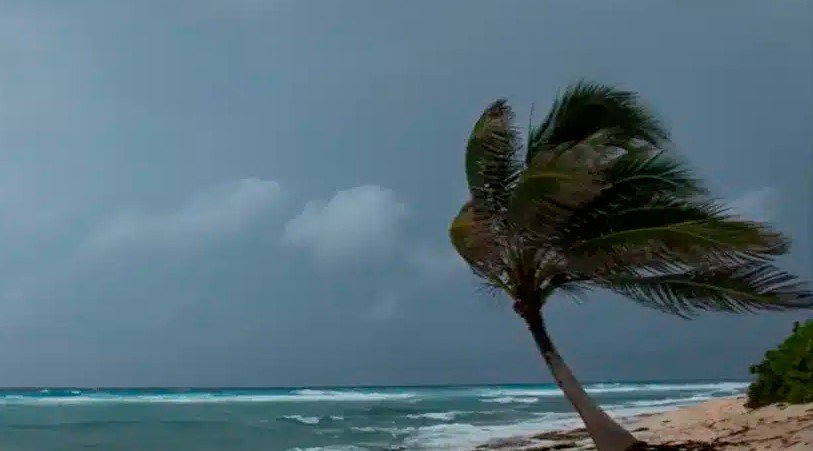 Inmet emite alerta de ventos fortes para 23 cidades do RN; rajadas podem ultrapassar 60 km/h