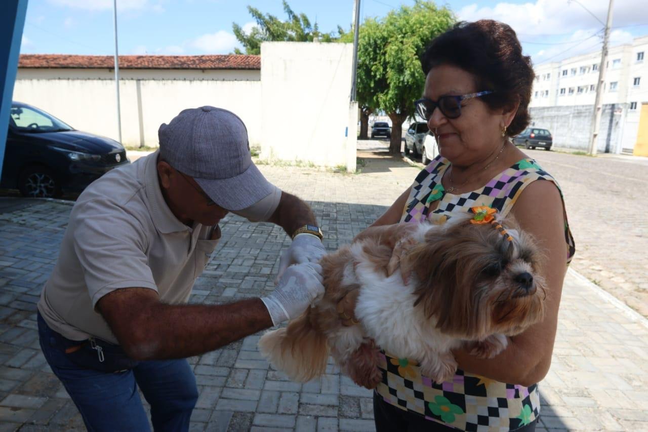 Pré-Campanha de Vacinação Antirrábica: Parnamirim registra mais de 900 animais atendidos no último sábado, 23
